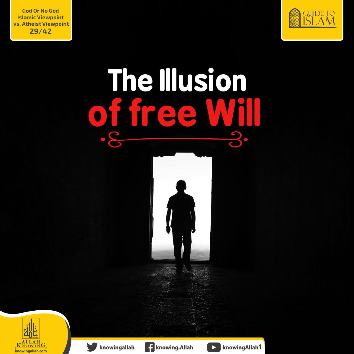 The Illusion of free Will