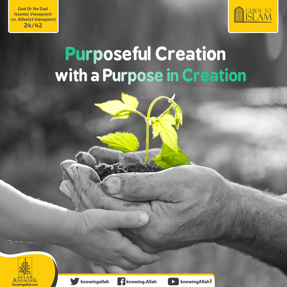 Purposeful Creation with a Purpose in Creation