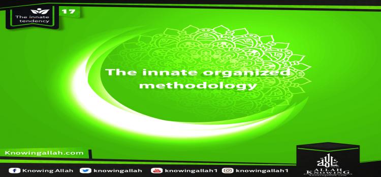 The innate organized methodology 