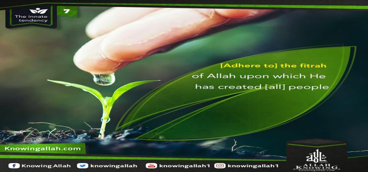 [Adhere to] the fitrah of Allah upon which He has created [all] people