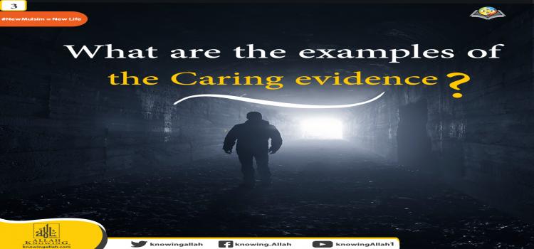  the Caring evidence