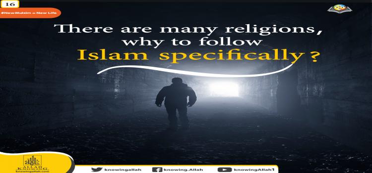 why to follow Islam in particular